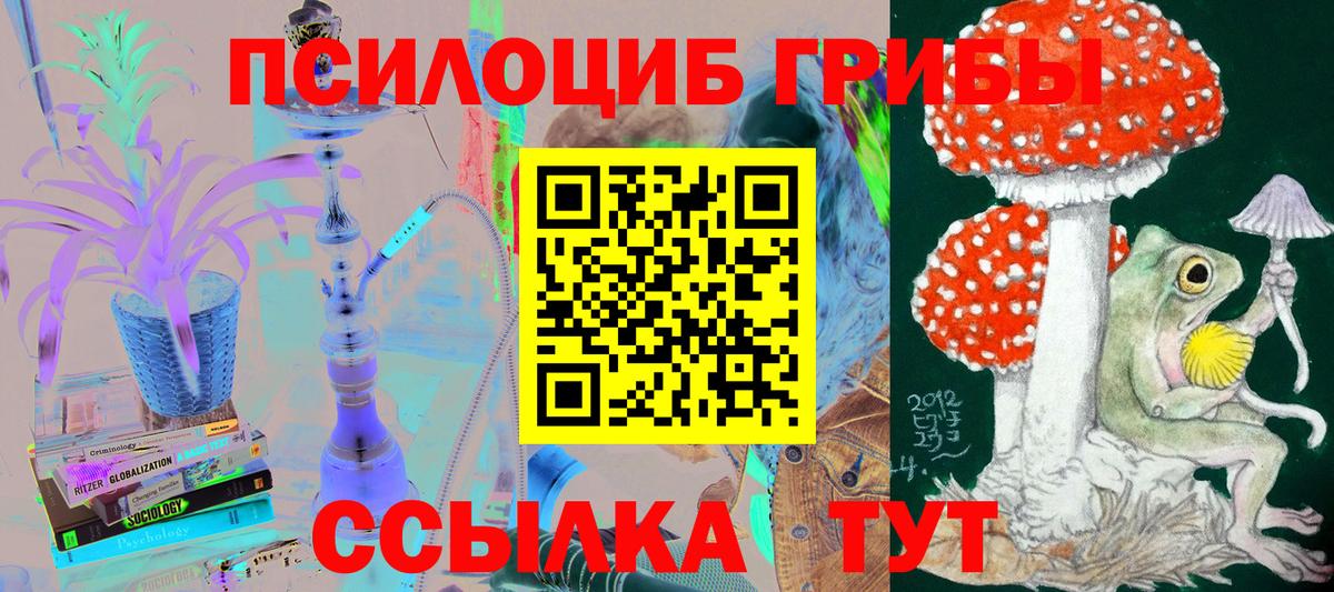 Псилоцибиновые грибы мицелий  Вход с VPN  Истра  купить закладку  Галлюциногенные грибы прущие грибы 