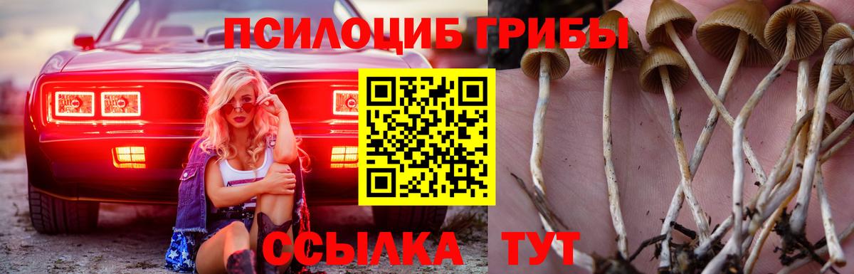 Псилоцибиновые грибы GOLDEN TEACHER Истра